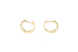  14K Gold 18 Diamonds (0.25 CT) Earrings-2 