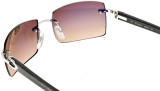 Eyewear Brands CARTIER Brown Lens with Buffalo Horn Mens Sunglasses CT0024RS 001